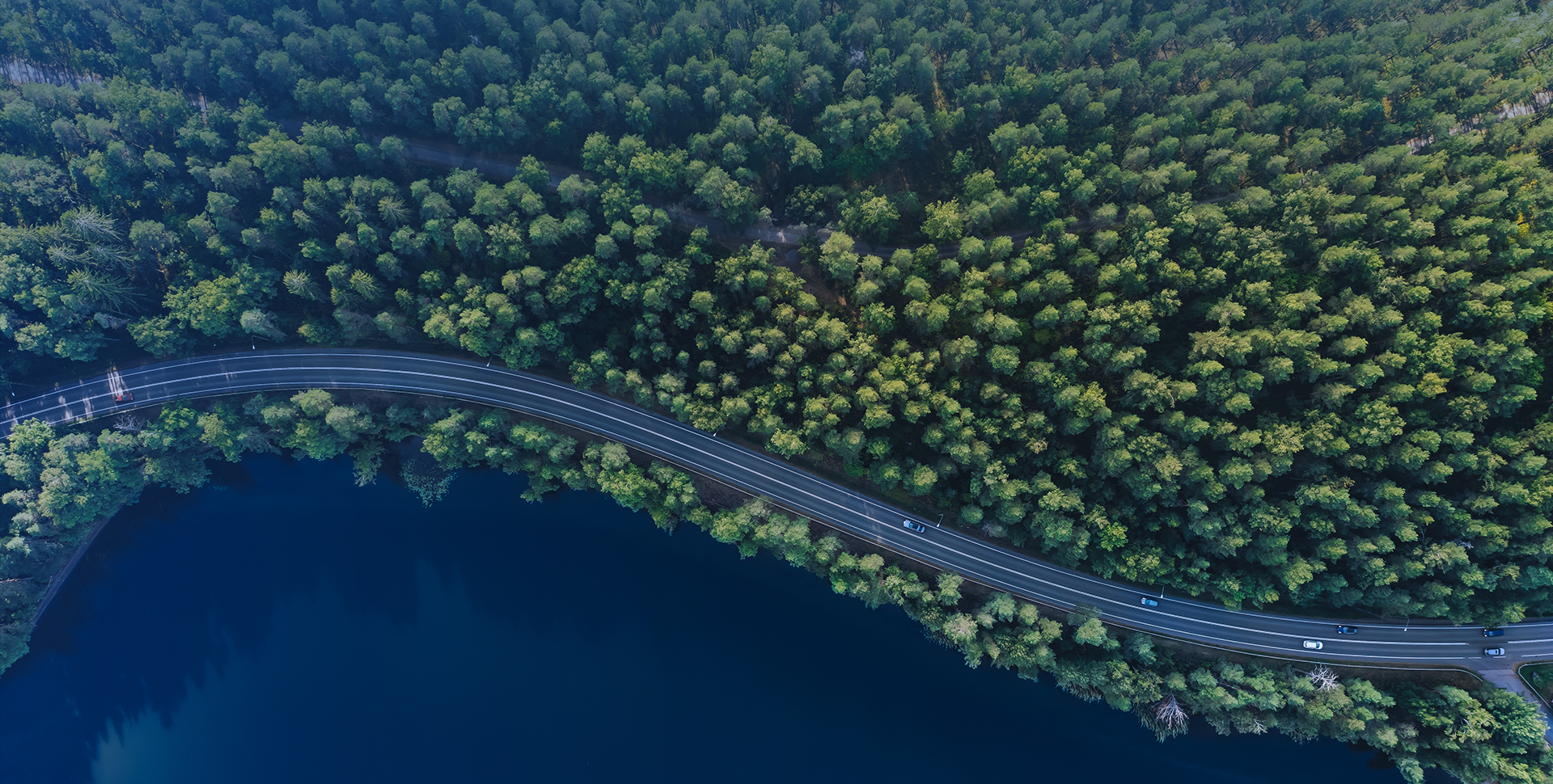 Sustainability
